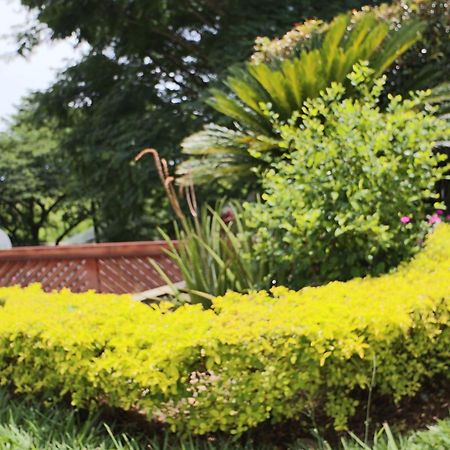 Hotel Syvanna Wellness And Spa Cerritos Bagian luar foto